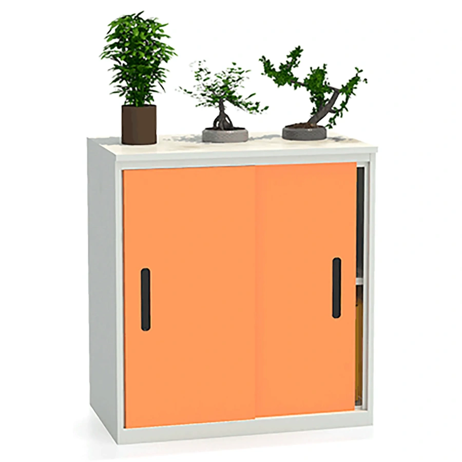 Шкаф-купе архивный ALS-8896